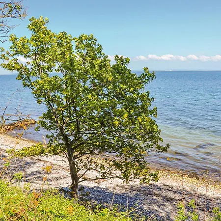 Graeskobbel Augustenborg X * Asserballeskov
