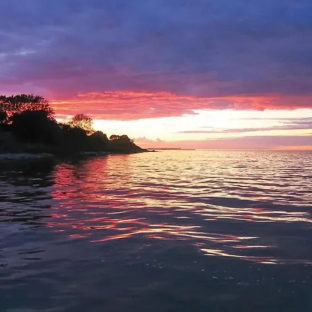 Graeskobbel Augustenborg X