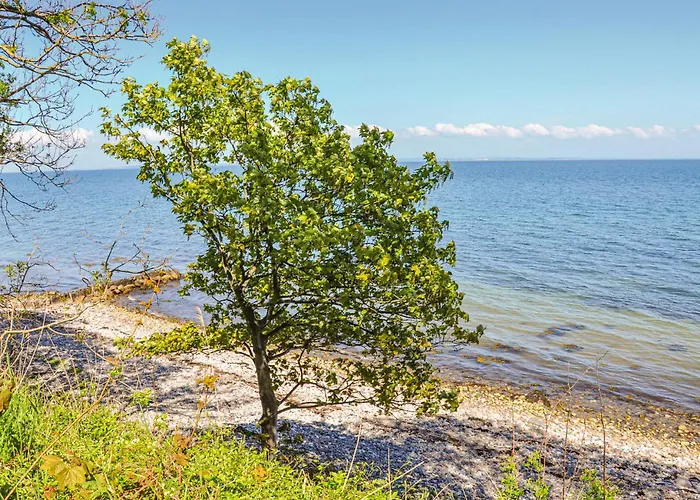 Graeskobbel Augustenborg X * Asserballeskov